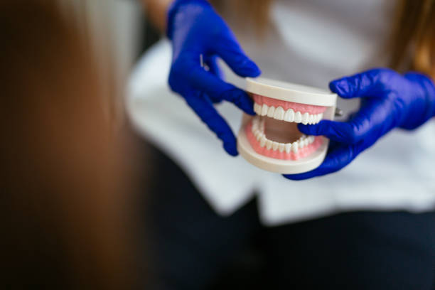 Professional Dental Services in Patrick Springs, VA